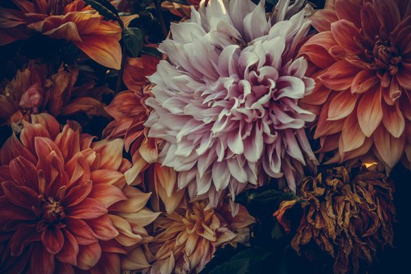 Carreleur annecy : expert en pose et rénovation de carrelages